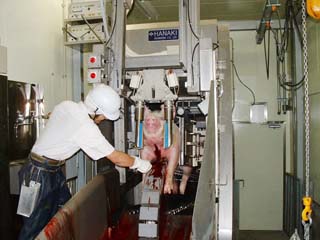 自動電撃システム