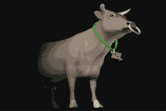 cow